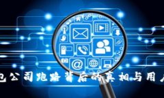 比特币钱包公司跑路背后