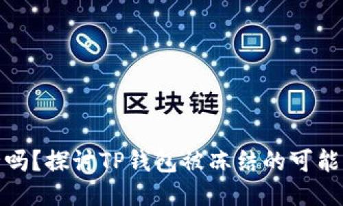TP钱包安全吗？探讨TP钱包被冻结的可能性及安全性