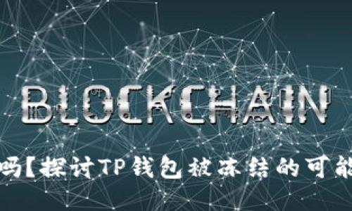 TP钱包安全吗？探讨TP钱包被冻结的可能性及安全性
