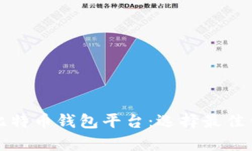 全面解析比特币钱包平台：选择最佳钱包的指南