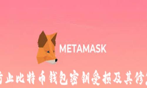 
如何防止比特币钱包密钥受损及其修复方法