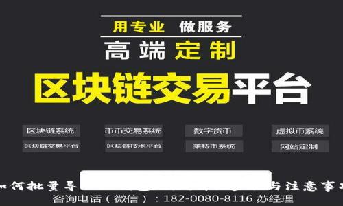 如何批量导入TP钱包地址：详细步骤与注意事项
