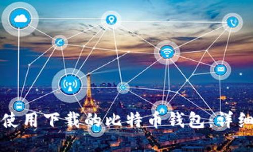 如何使用下载的比特币钱包：详细指南