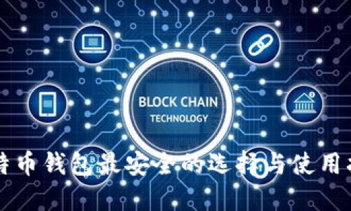 比特币钱包最安全的选择与使用指南