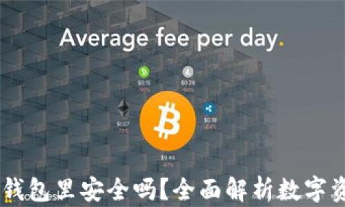 
USDT放到钱包里安全吗？全面解析数字资产安全性