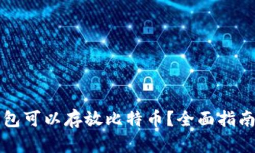 什么钱包可以存放比特币？全面指南与推荐
