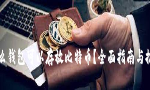 什么钱包可以存放比特币？全面指南与推荐