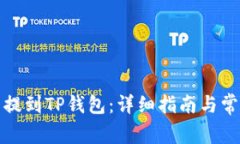 如何将美元提到TP钱包：详