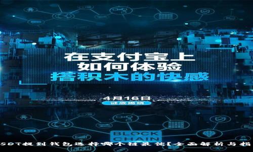 USDT提到钱包选择哪个链最优？全面解析与指导