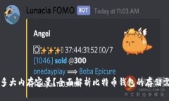 比特币钱包有多大内存容