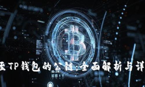 ICP提至TP钱包的公链：全面解析与详细指南