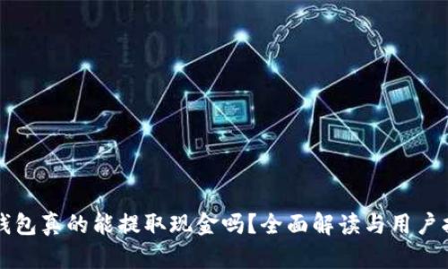 TP钱包真的能提取现金吗？全面解读与用户指南