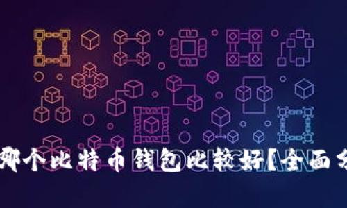中国人用哪个比特币钱包比较好？全面分析与推荐