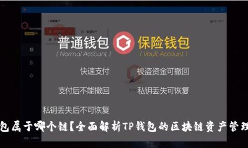 TP钱包属于哪个链？全面解析TP钱包的区块链资产管理功能