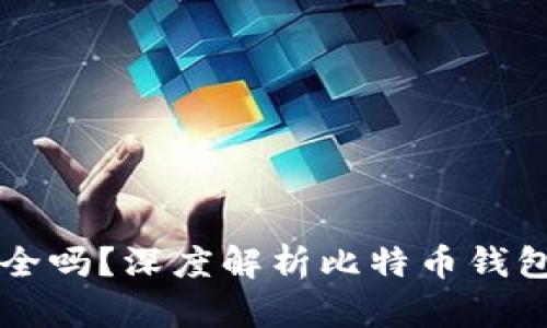 比特币钱包安全吗？深度解析比特币钱包的存储与使用
