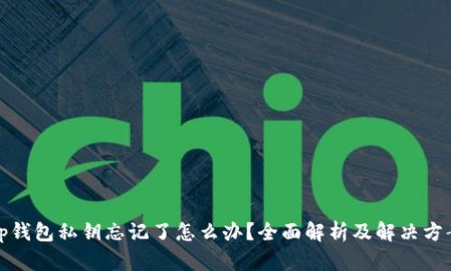 tp钱包私钥忘记了怎么办？全面解析及解决方案