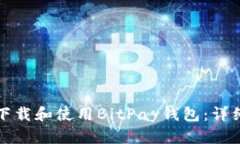 如何下载和使用BitPay钱包