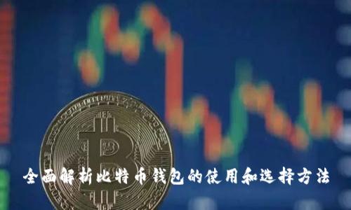 全面解析比特币钱包的使用和选择方法