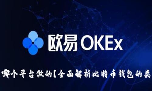 比特币钱包是哪个平台做的？全面解析比特币钱包的类型与平台选择