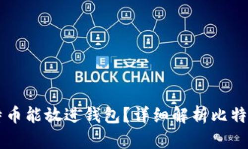 多少个比特币能放进钱包？详细解析比特币存储限制