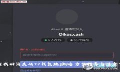 如何找回消失的TP钱包地址：全方位指导与注意事