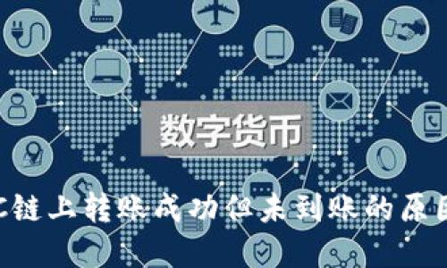 TP钱包在BSC链上转账成功但未到账的原因及解决方案