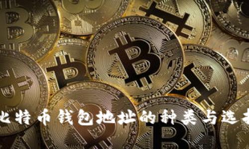 不同比特币钱包地址的种类与选择指南