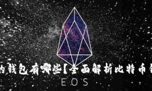 可以装比特币的钱包有哪些？全面解析比特币钱包类型与选择